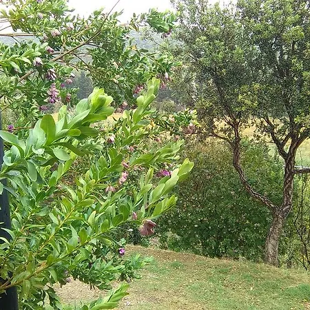 Casa Capudefigu Portixeddu